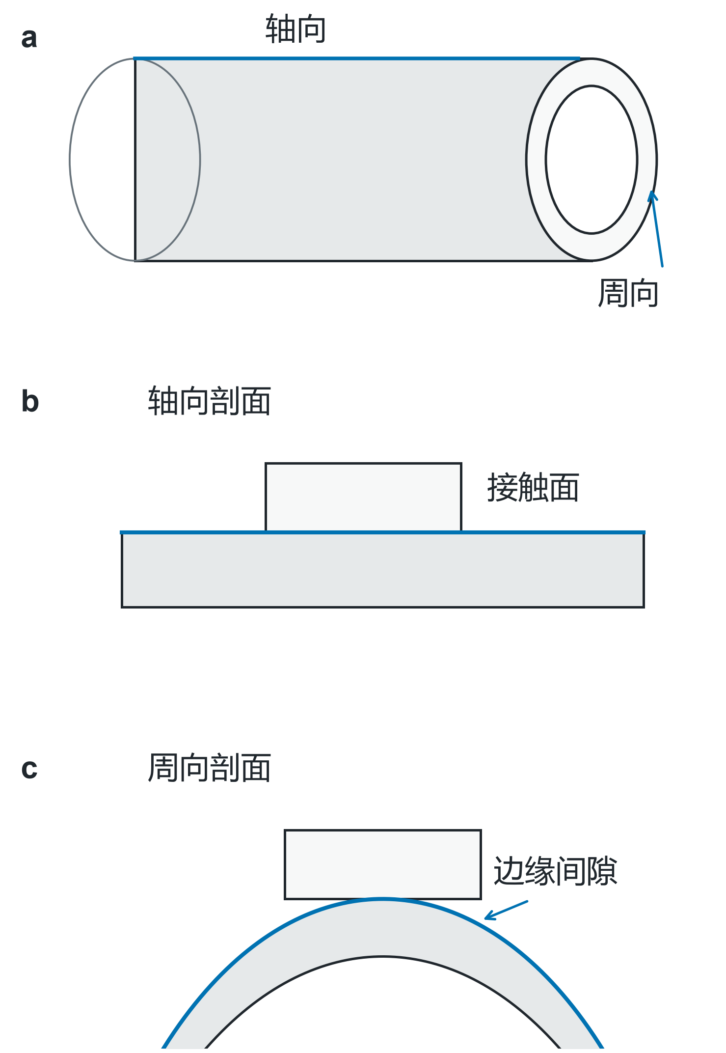 图1　圆柱外表面沿周向弯曲，沿轴向保持直线。a，圆管与两条观察方向；b，轴向剖面；c，周向剖面。灰色为管壁，蓝线标出所比较的外表面。仅解释直圆管外表面接触几何，不按真实壁厚比例。