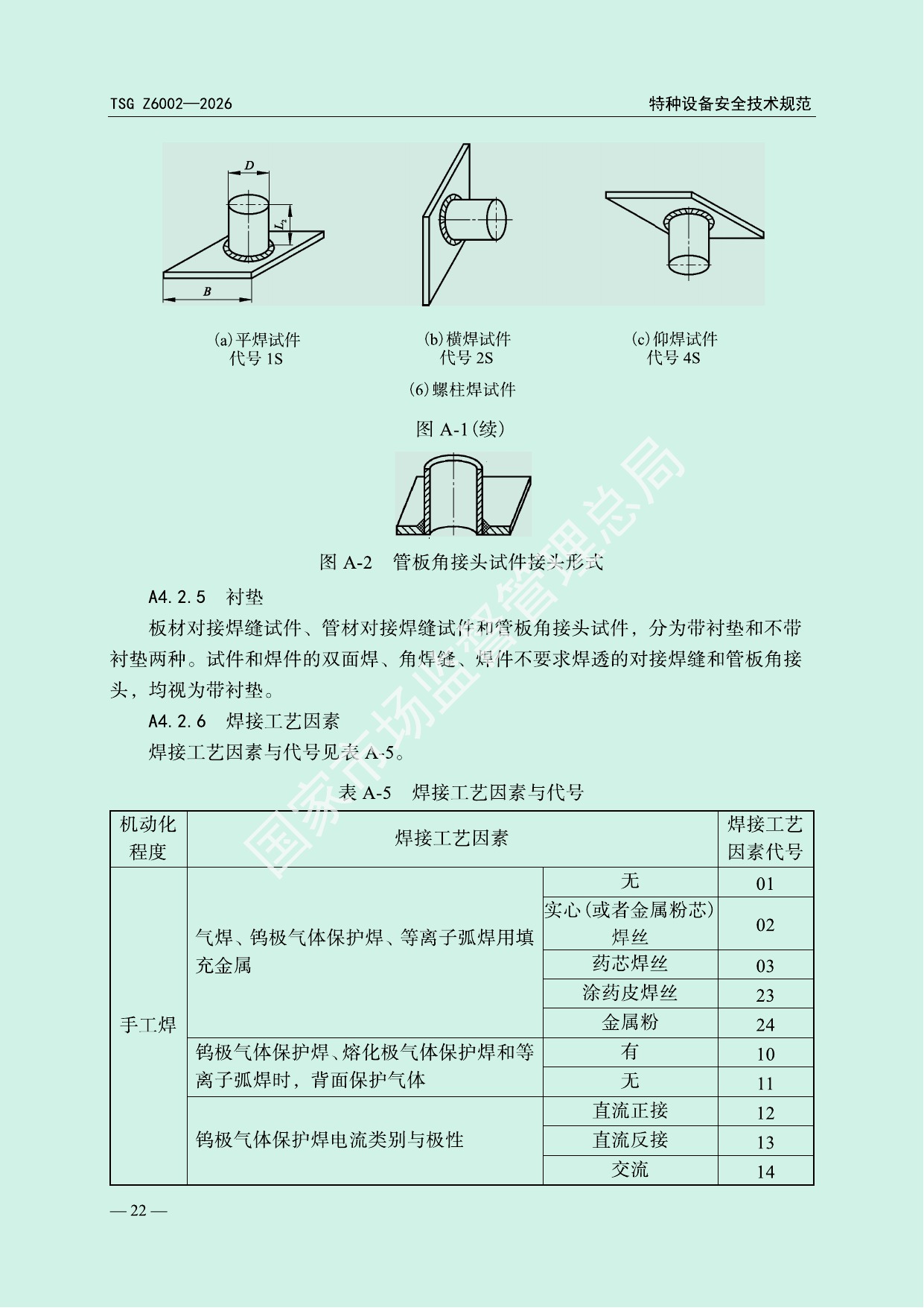 TSG Z6002—2026 官方PDF第25页技术图示原页