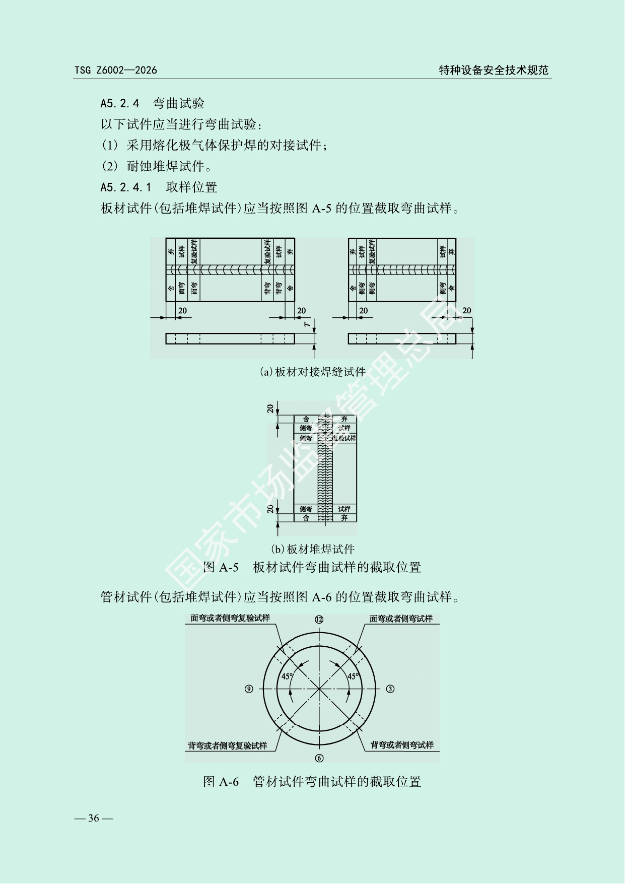 TSG Z6002—2026 官方PDF第39页技术图示原页