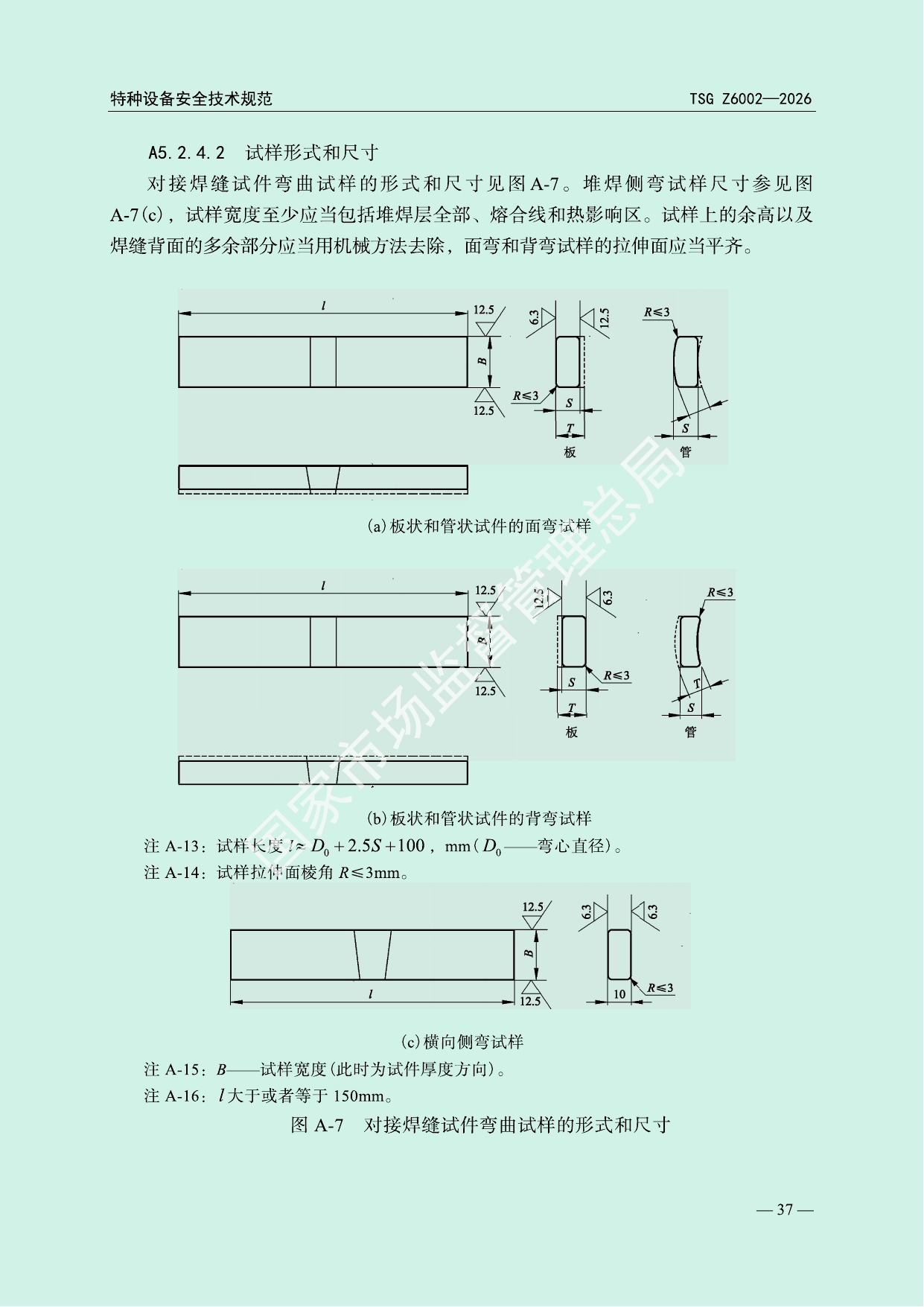 TSG Z6002—2026 官方PDF第40页技术图示原页